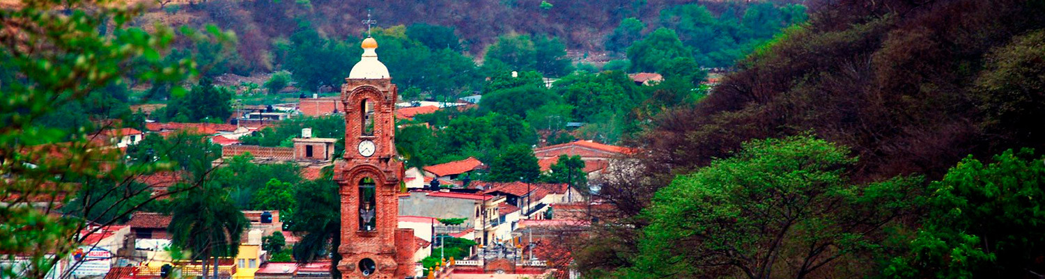 Banner Amatlán de Cañas