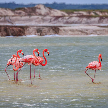 Image of the destination Las Coloradas