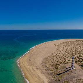 Top destination Bahía de Magdalena