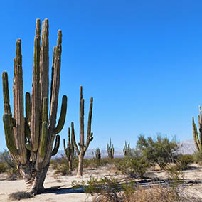 Top destination Valle de los Gigantes (Giants Valley)