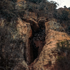 Image of the destination Bat volcano