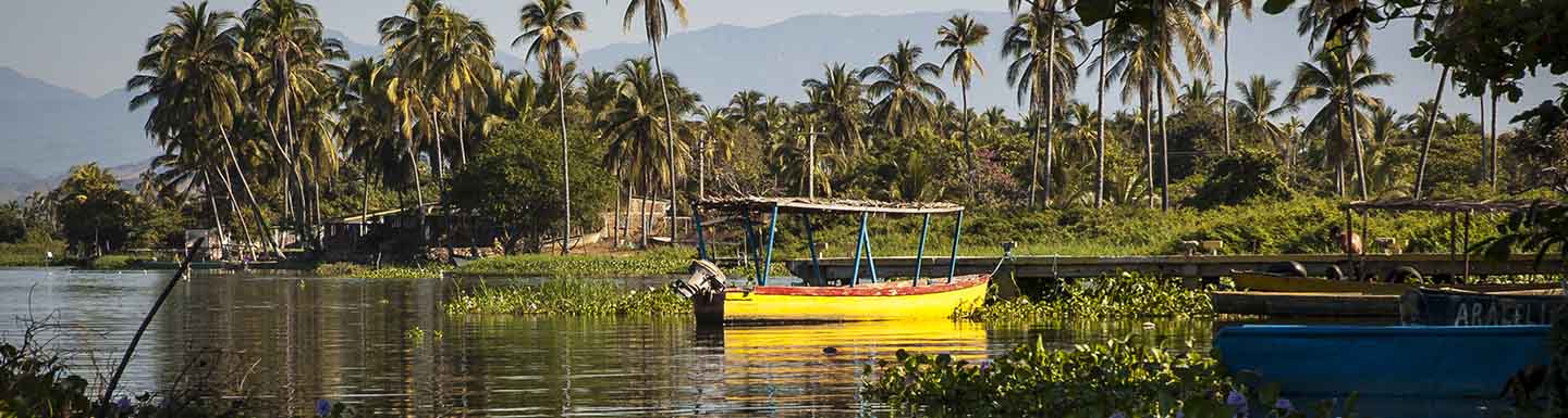 Banner Tres Palos and Coyuca Lagoons