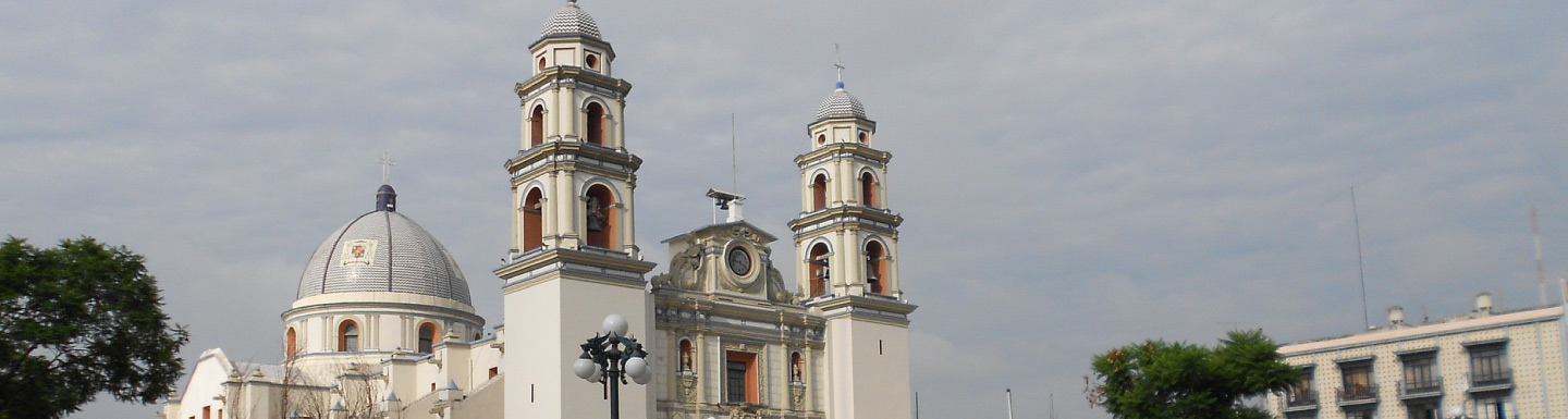 Banner Tehuacán