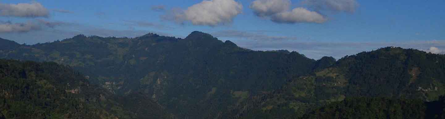 Banner Barranca de los Jilgueros (Carduelis cliff)