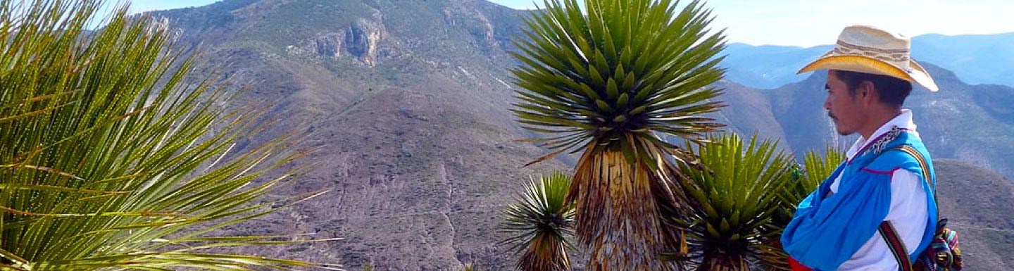 Banner Cerro del Quemado