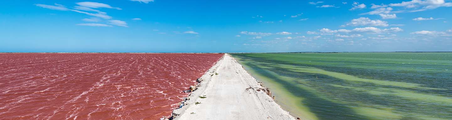 Banner Río Lagartos