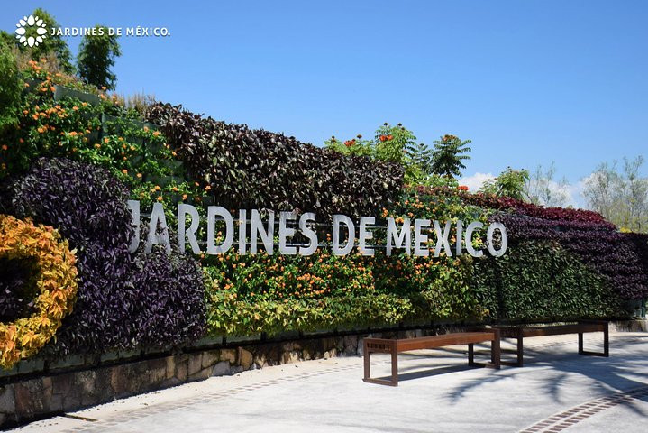 Actividad en Morelos | Jardines de México Entrada General